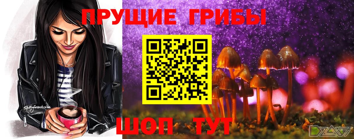 Псилоцибиновые грибы мухоморы  где купить   Ржев  Вход с VPN 